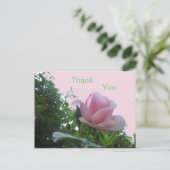 ピンクローズクローズアップありがとうはがき ポストカード (スタンド正面)