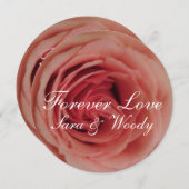 ピンクローズサンキュー サンキューカード (正面/裏面)