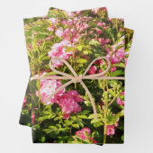 ピンクローズシークレットガーデン ラッピングペーパーシート (インサイチュ)