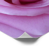 ピンクローズセンター ポスター (角)