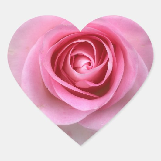 ピンクローズハートシール ハートシール (正面)