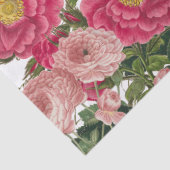 ピンクローズバタフライフランスのスクリプトヴィンテージ 薄葉紙 (詳細)