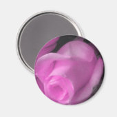 ピンクローズバッド2 1/4インチマグネット マグネット (正面/裏面)