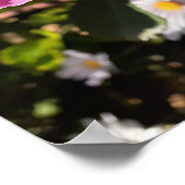 ピンクローズバラデビッド・オースティンフラワーガーデンポスター ポスター (角)