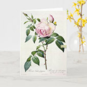 ピンクローズピエールジョセフRedouteグリーティングカード カード (黄色い花)