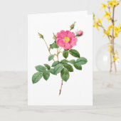 ピンクローズピエールジョセフRedouteグリーティングカード カード (黄色い花)