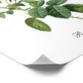 ピンクローズピエールレドテボタニカル ポスター (角)