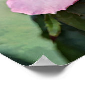 ピンクローズフォトアートプリント ポスター