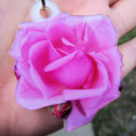 ピンクローズフォトスカルプチャー 写真彫刻オーナメント<br><div class="desc">私のサンプル写真は購入した実際のキーチェーンの写真だった。ピンク色のバラの切り抜き写真は、オレゴン州ポートランドで訪れたバラの庭で撮ったものだ。孤立したイメージを持つ2つの開いていない芽。</div>