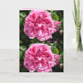 ピンクローズフラワーフローラヴィンテージバラカード カード (裏面)