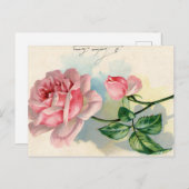 ピンクローズフランスのスクリプトヴィンテージバレンタインポストカード ポストカード (正面/裏面)