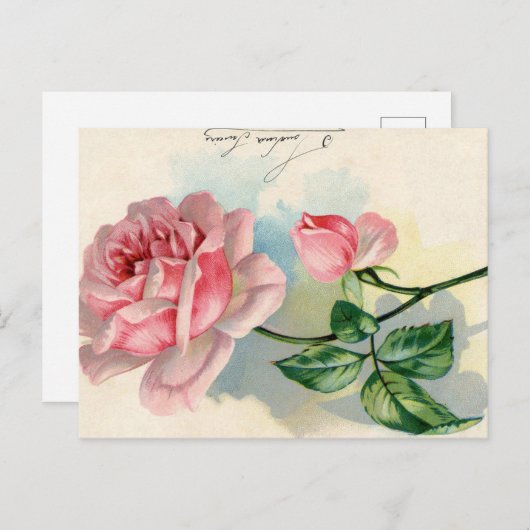 ピンクローズフランスのスクリプトヴィンテージバレンタインポストカード ポストカード (正面/裏面)