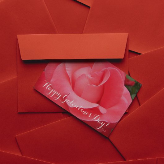 ピンクローズフローラガレンティンの日 シーズンカード