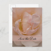 ピンクローズフローラクインセアニラ日付を保存 案内ポストカード (正面/裏面)