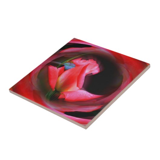 ピンクローズブドフラワーアート抽象芸術 タイル (側面)