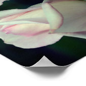 ピンクローズブドフラワー抽象芸術 ポスター (角)