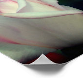 ピンクローズブドフラワー鏡抽象芸術 ポスター (角)