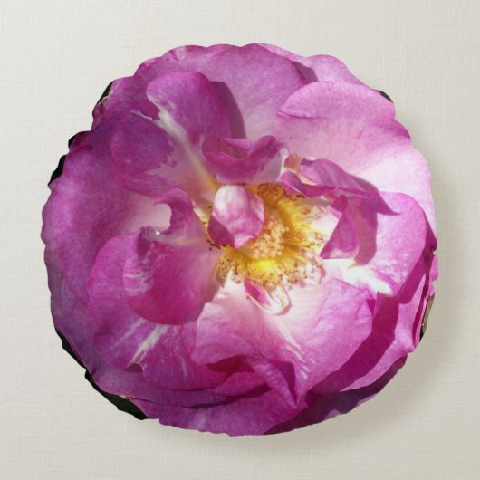 ピンクローズブラシ仕上げポリエステルラウンドスロークッション ラウンドクッション (正面)