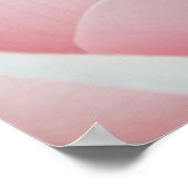 ピンクローズポスター ポスター (角)