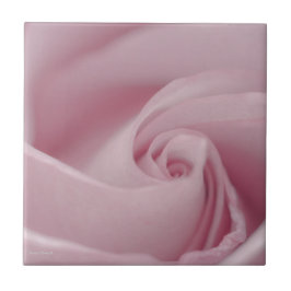 ピンクローズマクロ タイル