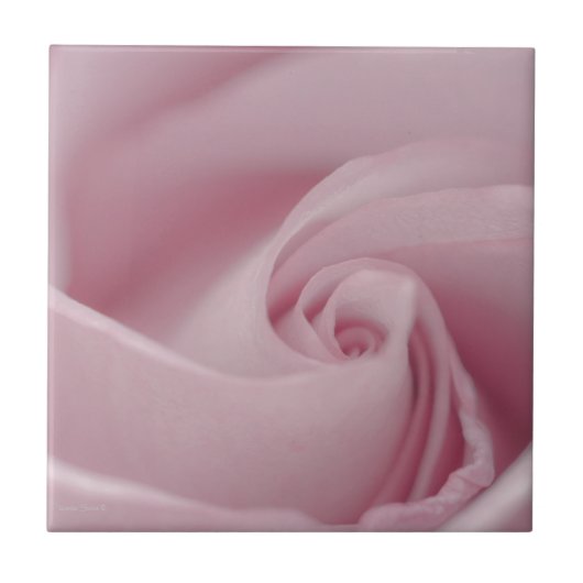 ピンクローズマクロ タイル (正面)