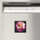 ピンクローズマグネット用冷蔵庫及びボード マグネット (インサイチュ (食洗機))