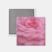 ピンクローズマグネット マグネット (正面/裏面)