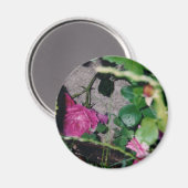 ピンクローズマグネット マグネット (正面/裏面)