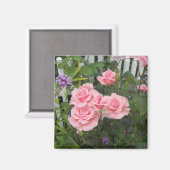 ピンクローズマグネット マグネット (正面/裏面)