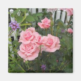 ピンクローズマグネット マグネット