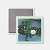 ピンクローズマグネット マグネット (正面/裏面)