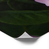 ピンクローズヴィンテージガーデンフラワーズポスター ポスター (角)