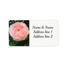 ピンクローズ住所 シール