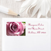 ピンクローズ住所 シール (インサイチュ)