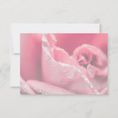 ピンクローズ写真ハッピーリタイアメント ノートカード (裏面)