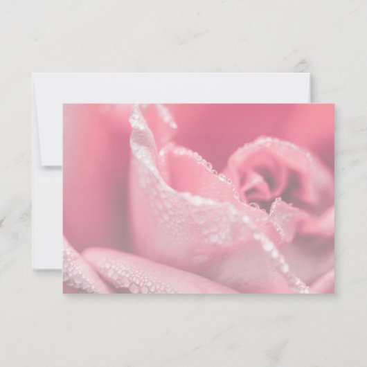 ピンクローズ写真ハッピーリタイアメント ノートカード (裏面)