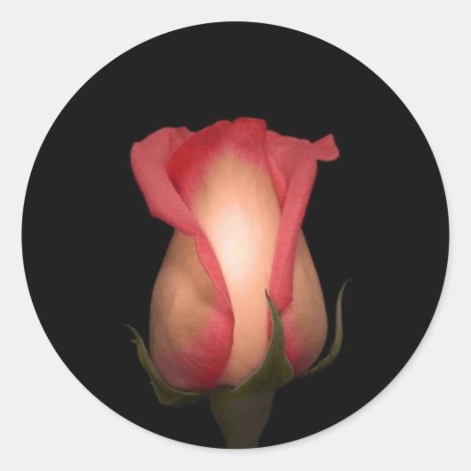 ピンクローズ封筒用シール ラウンドシール (正面)