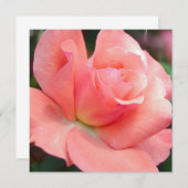 ピンクローズ招待状 招待状 (正面/裏面)