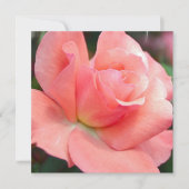 ピンクローズ招待状 招待状 (正面)