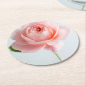 ピンクローズ紙コースター ラウンドペーパーコースター (アングル)