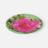 ピンクローズ紙プレート ペーパープレート (アングル)