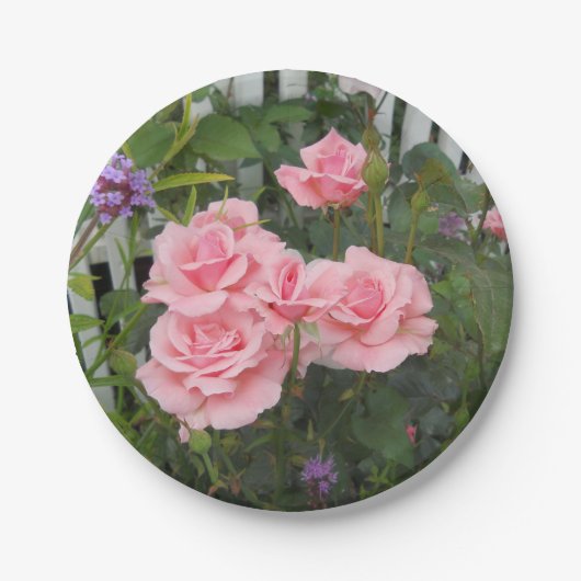 ピンクローズ紙プレート ペーパープレート (正面)