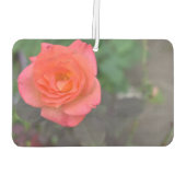 ピンクローズ自然写真花フローラ園 カーエアーフレッシュナー (裏面)