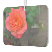 ピンクローズ自然写真花フローラ園 カーエアーフレッシュナー (左)