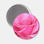 ピンクローズ花びらカスタマイズ可能マグネット マグネット (正面/裏面)