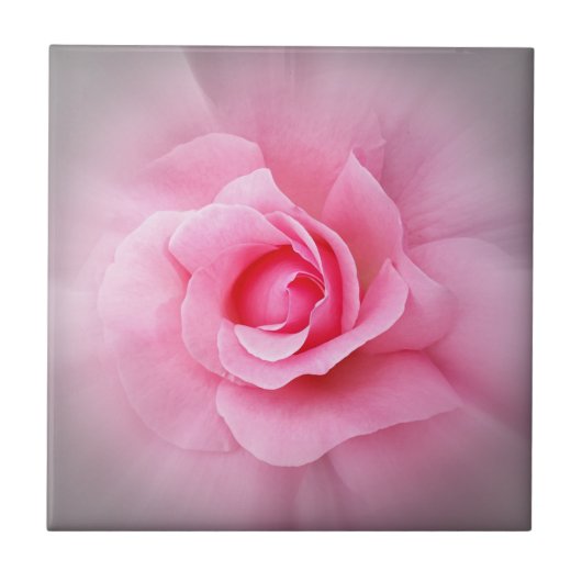 ピンクローズ花びら タイル (正面)