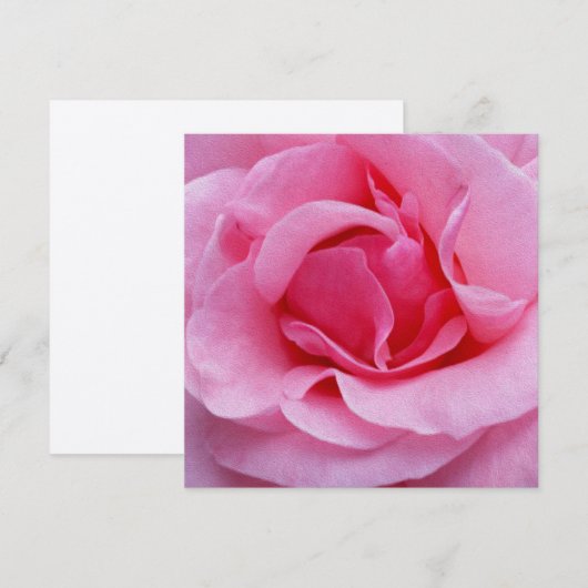 ピンクローズ花びら 招待状 (正面/裏面)