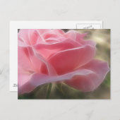 ピンクローズ3アンジェリック ポストカード (正面/裏面)