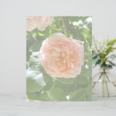 ピンクローズ8.5x11紙 (スタンド正面)