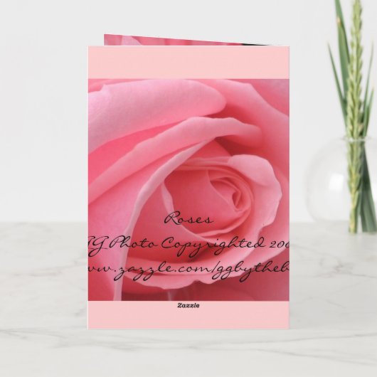 ピンクローズ カード (裏面)